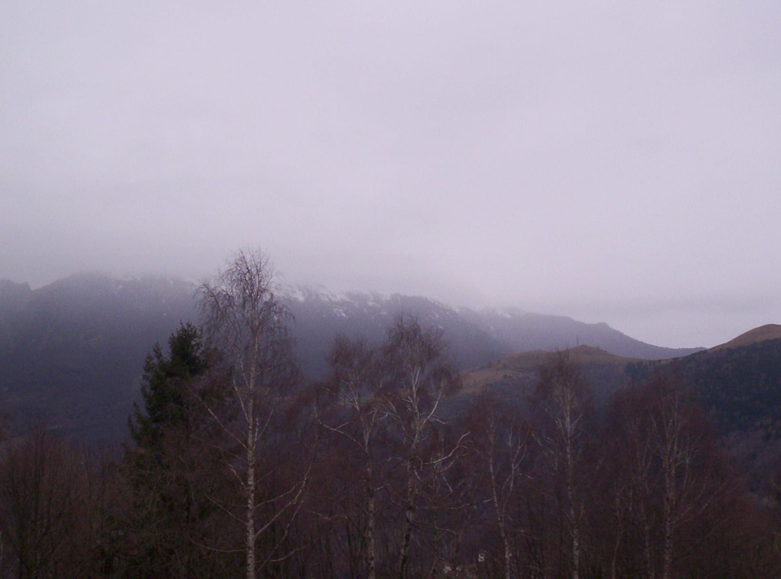 Foto n° 5 del trekking Tre Faggi │ Fuipiano